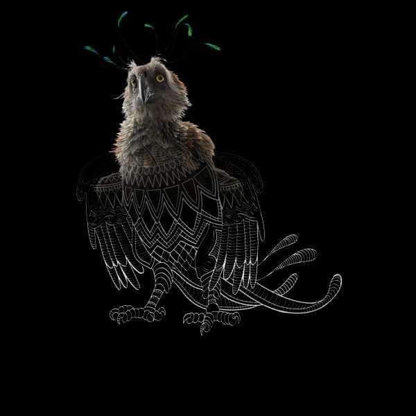 Fantastic Beasts Tribal Augurey trui - Zwart - M