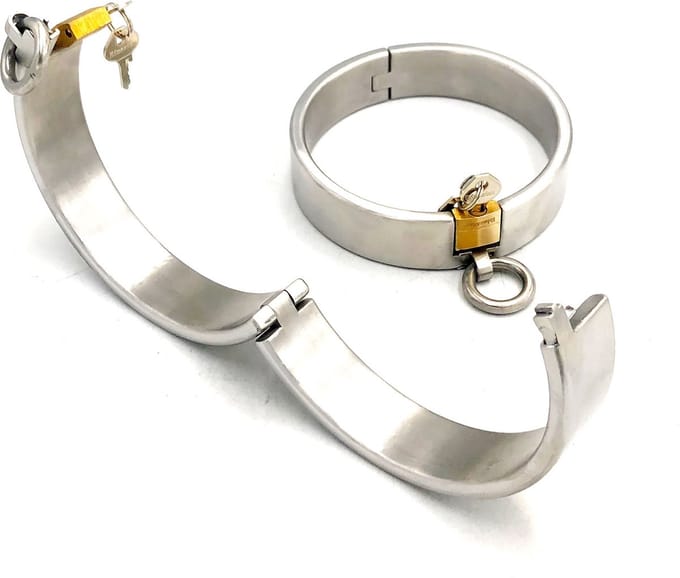 Metalen rvs halsband plus slot
