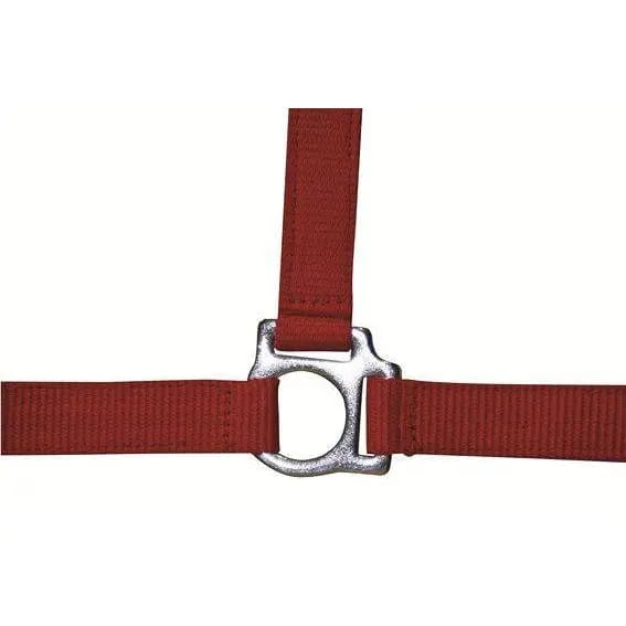 Halster -Stars Economy- rood Koudbloed paard