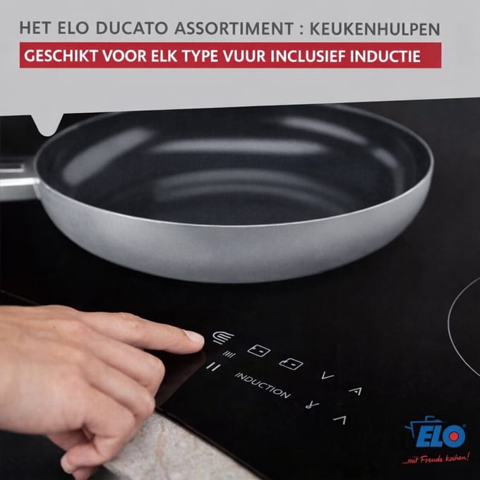 Pan voor alle warmtebronnen 24 cm zonder PFAS Elo Ducato