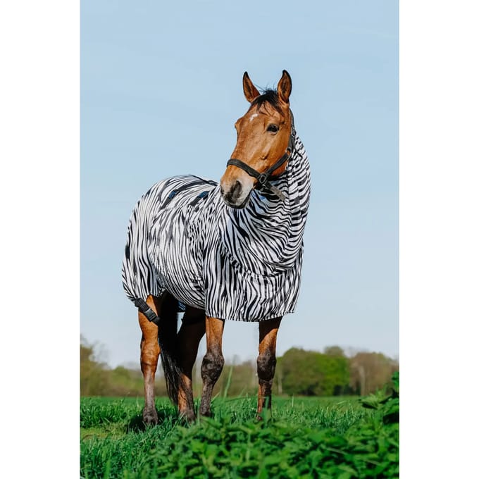 Paardenvliegendeken Riding World