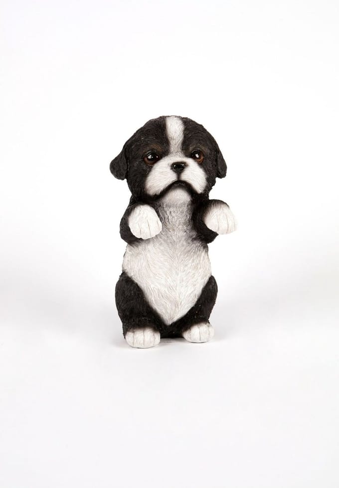 Border Collie pup - Hamac - Tuinbeeld