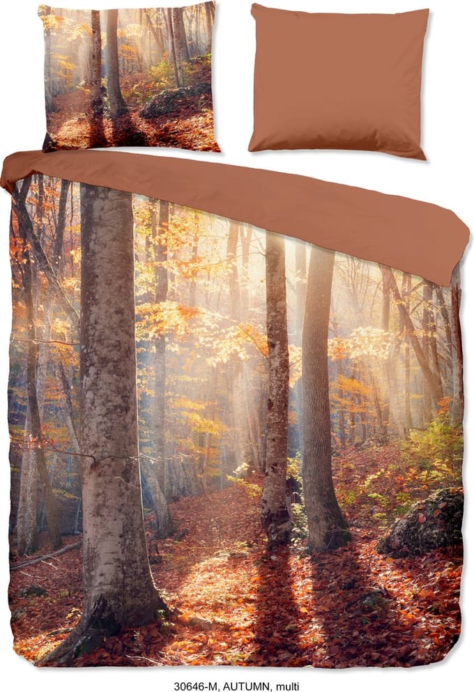 Pure dekbedovertrek bomen/ bos - 2 persoons 200x200/220 cm - Multi - Microvezel