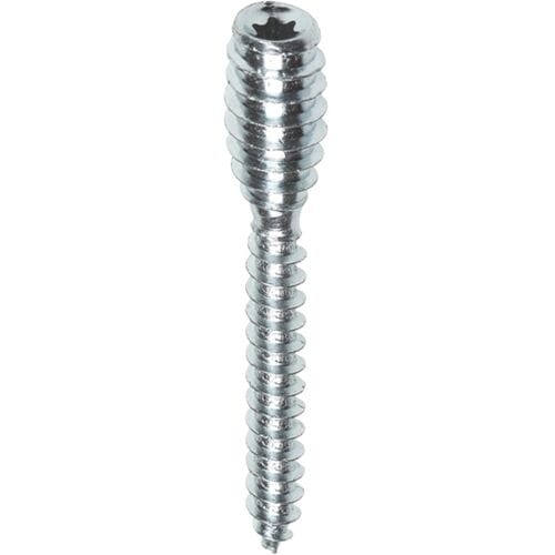 FIS Afstandschroeven 6x100mm TX25 (30 Stuks)