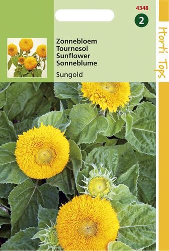 Hortitops Zaden - Helianthus Annuus Sungold Dubbelbl. Laag