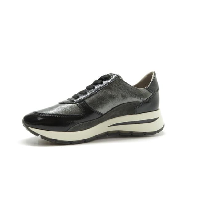 DL Sport 6337