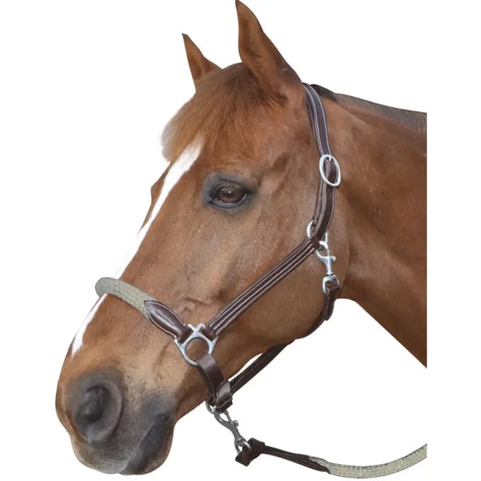 Lederen paardenhalster met touw Canter