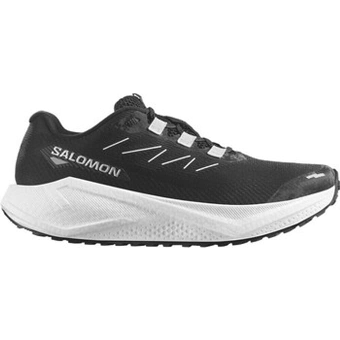 Hardloopschoenen Salomon Aero Blaze 3 GRVL