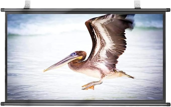 Projectiescherm - Filmscherm - Thuisbioscoop - Kreukvrij - 40 inch - Zwart