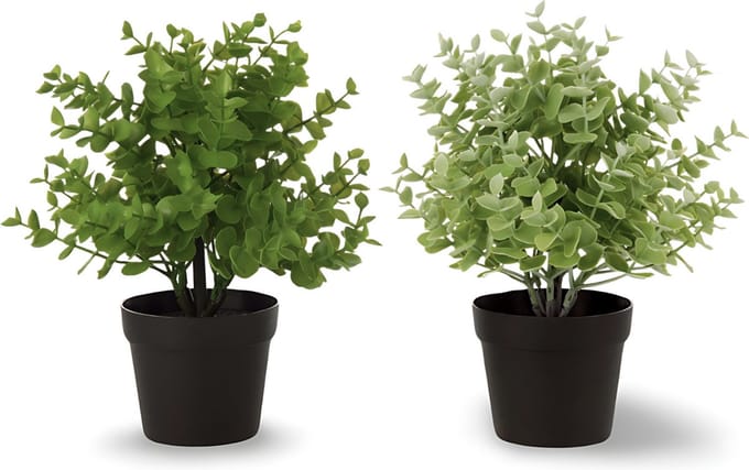 Kunstplant Vetplant In Pot 2 st. - 25 cm