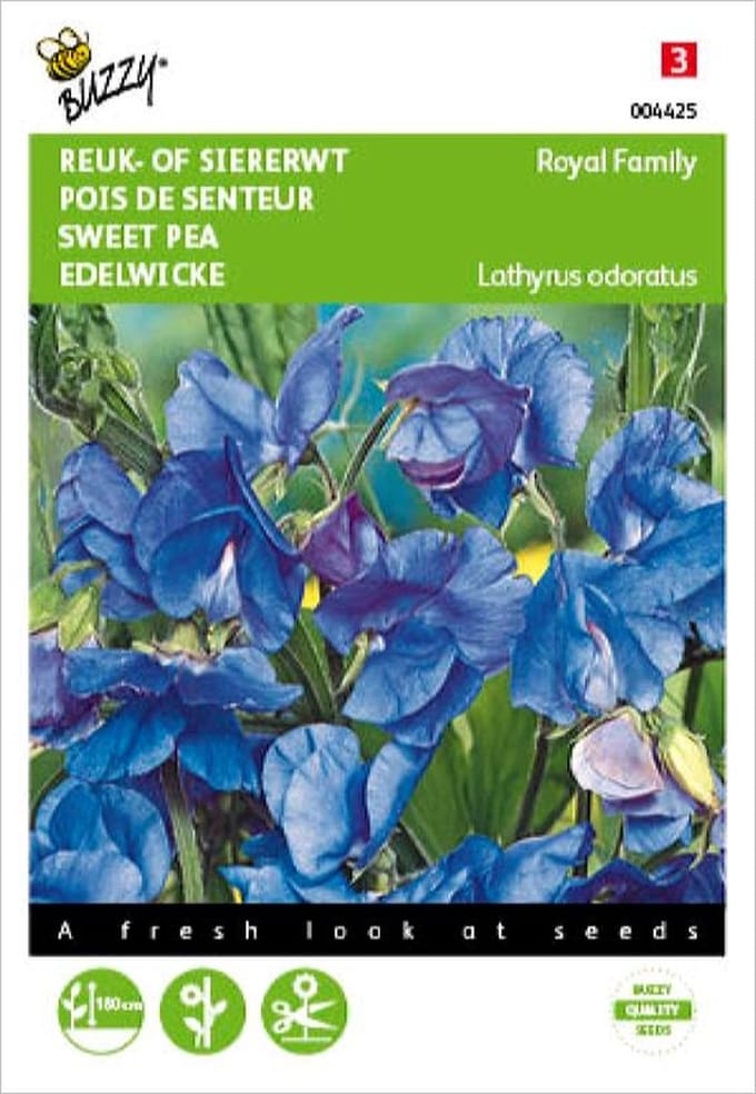 Reukerwt Royal Family blauw - Lathyrus odoratus