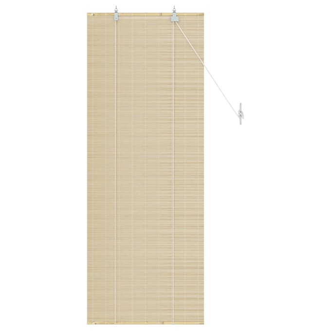 vidaXL - Rolgordijn - Naturel - 60 - x - 160 - cm - Bamboe