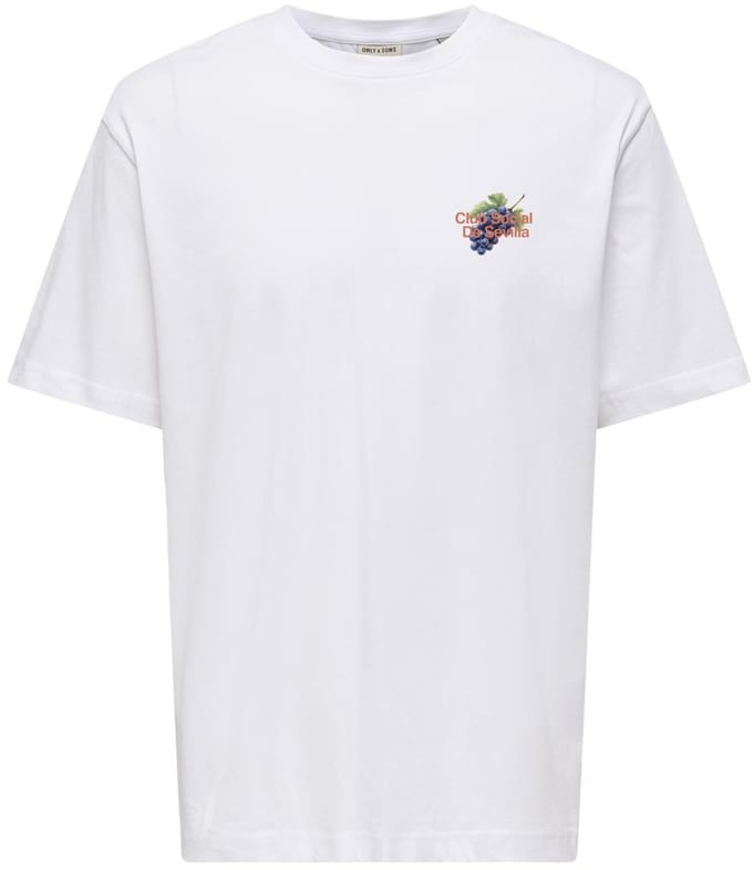 ONLY&SONS - OSJAXEL DORADO LIFE RLX SS TEE - Jongens - T-shirts