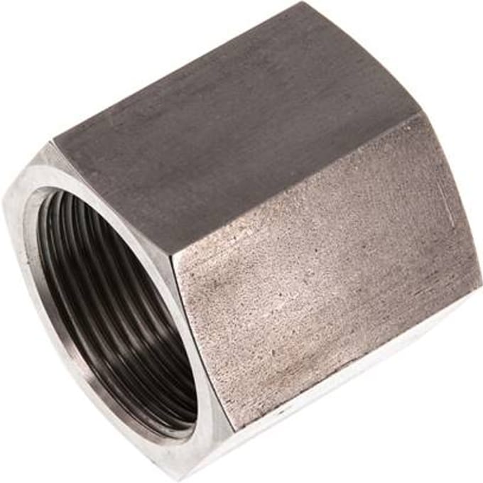G 1'' RVS Sok 40 Bar - FL2S-F-ST-100G-H