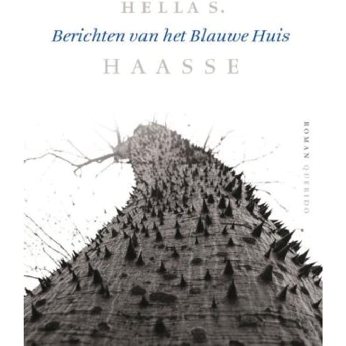 Berichten Van Het Blauwe Huis - Hella S. Haasse