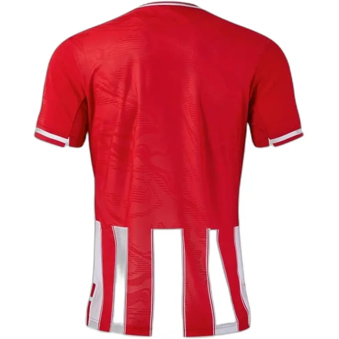 Maillot Joma Premier
