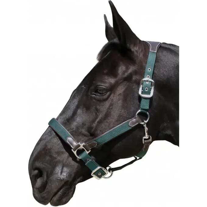 Halster voor paarden nylon/leer Flags&Cup