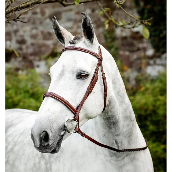 Paardrijd hoofdstel met teugels Horseware Hunter