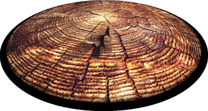 Bertoni - Tuinstoelkussens - Tuinstoel Kussen - decoratief - 35 cm - bruin