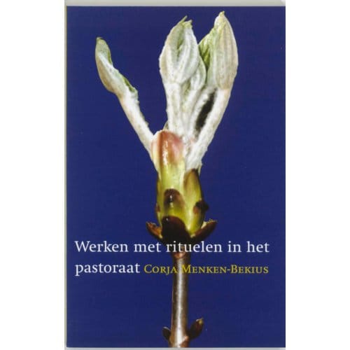 Werken Met Rituelen In Het Pastoraat - c. Menken-Bekius