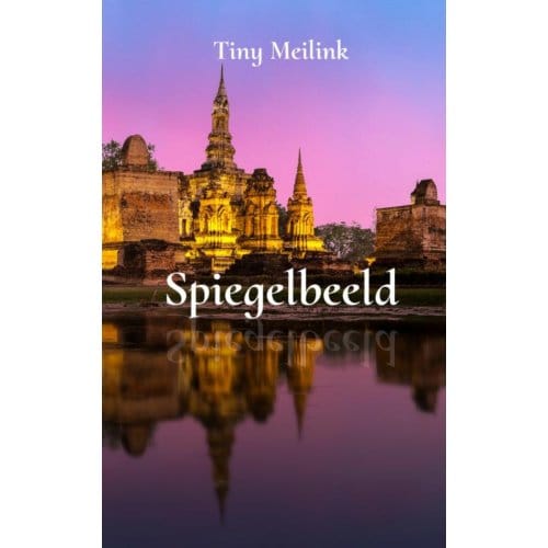 Spiegelbeeld - Tiny Meilink