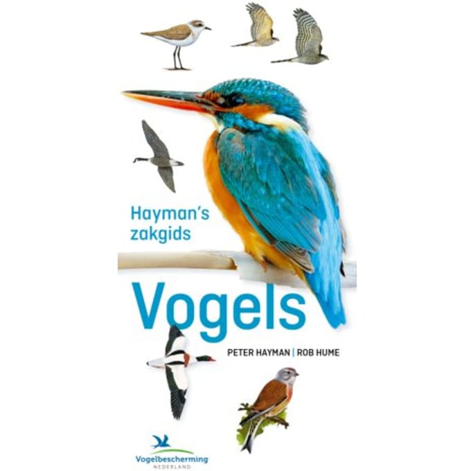 Hayman's Zakgids Vogels - Peter Hayman