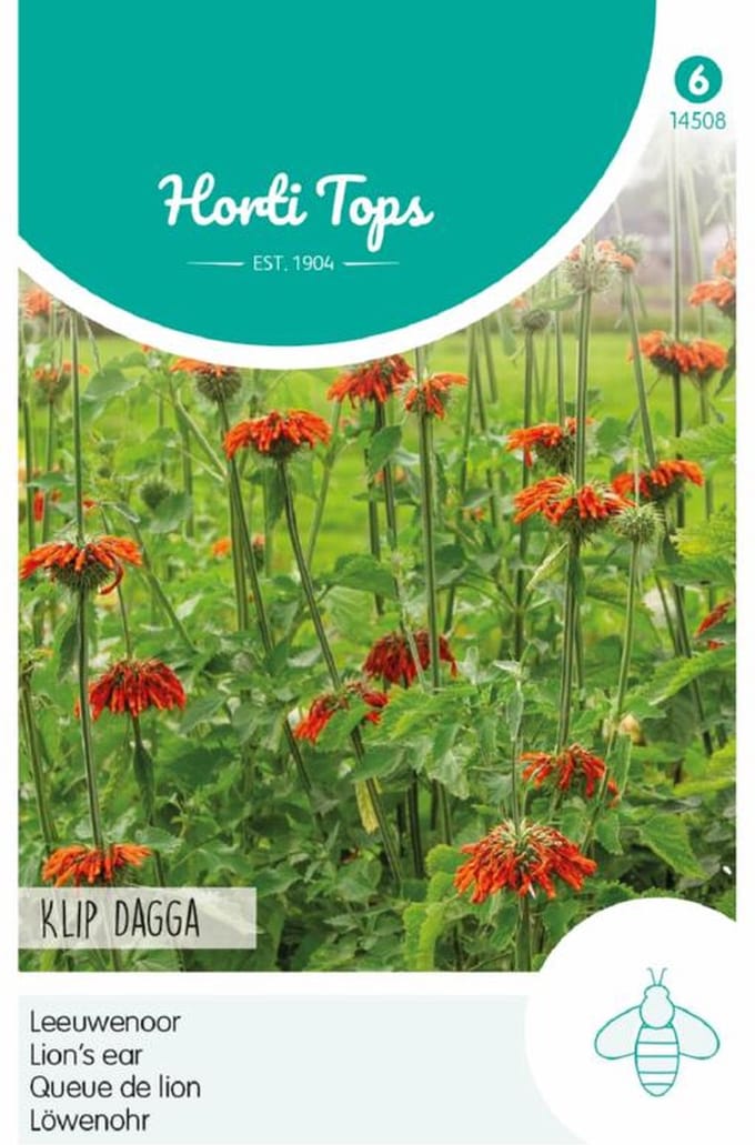 Leeuwenoor Klip Dagga (Leonotis nepetifolia)