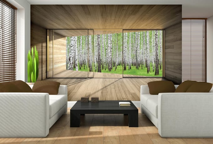 Window Forest Trees Green Nature Photo Wallcovering