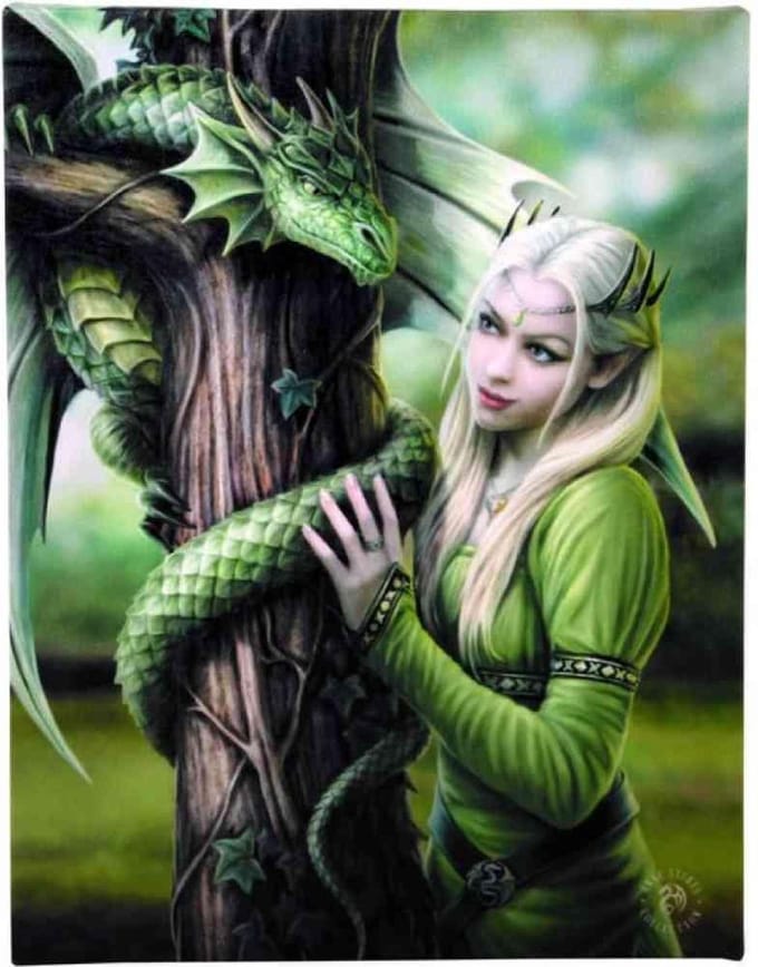 Anne Stokes Kindred Spirits canvas schilderij