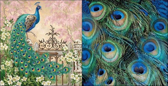 ambiente servetten peacock set van 2 verschillende printjes || noble peacock, peacock feathers