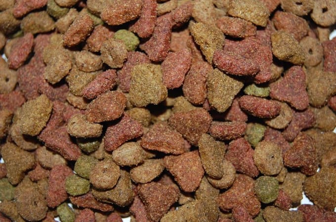 Hadivo Kattenbrok 5-mix 10KG
