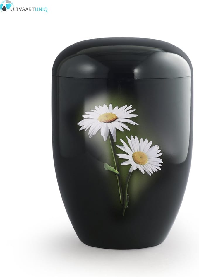 Eco urn zwart margrietjes - bio (biologisch afbreekbaar)