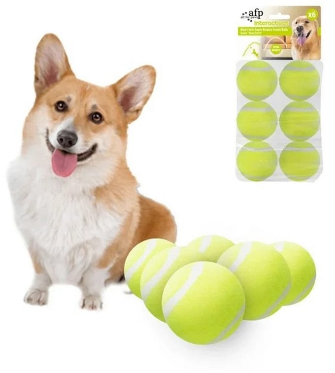 RSB Sports Tennisballen Hond 5 cm - Set van 6