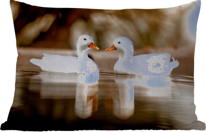 Buitenkussens - Tuin - Eend - Wit - Dieren - Water - Vogel - Eenden - 50x30 cm