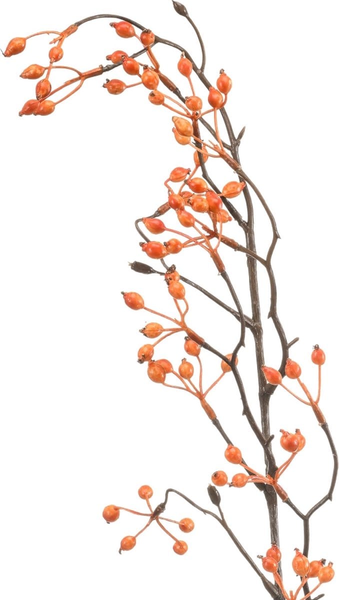 Fleurdirect Kunsttak Rosehip Spray - - Oker/Oranje - 15 x 105 x 0 cm (BxHxD)