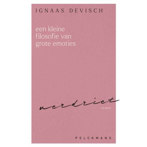 Een Kleine Filosofie Van Grote Emoties: Verdriet - Ignaas Devisch