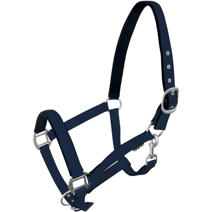 Halster voor paarden York