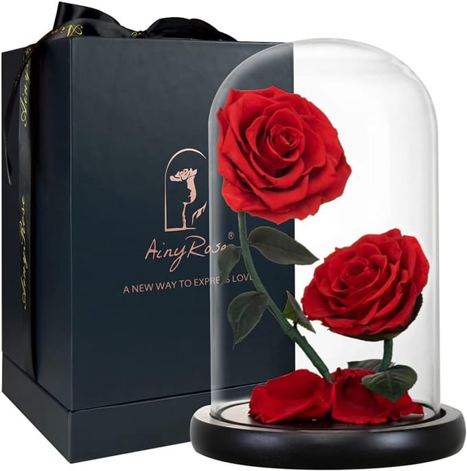 Geconserveerde Roos - Eeuwige Bloem - Romantisch Cadeau - Echte Roos in Koepel - 218 cm Hoog - Rood