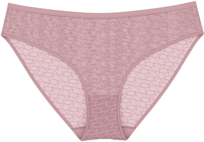 Triumph Tai-Slip Red Label Triumph Signature Sheer