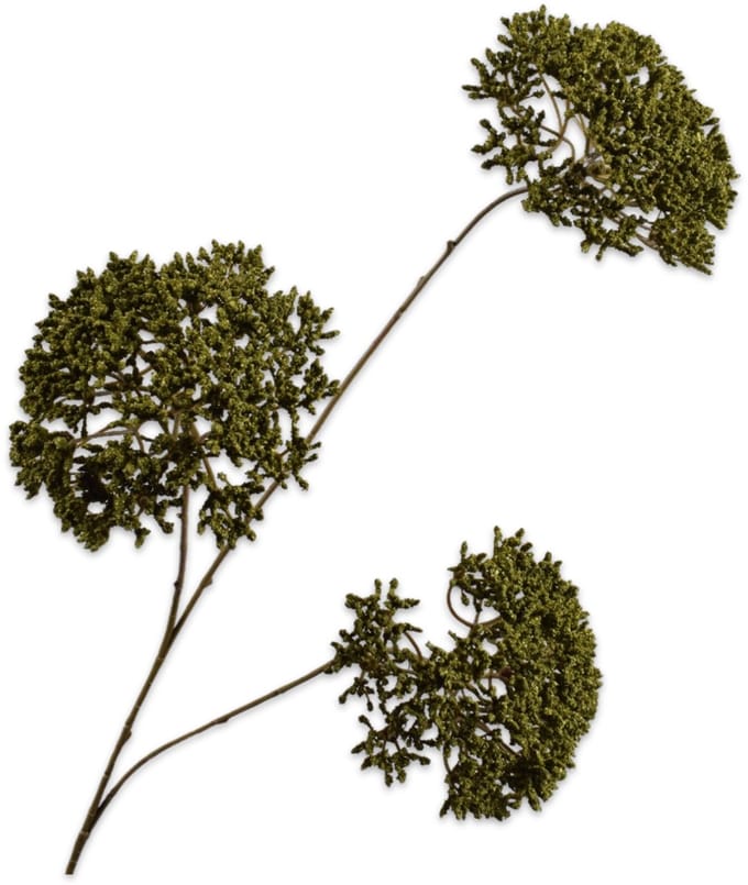 Silk-ka - Kunstbloem - trachelium - groen - H85 cm