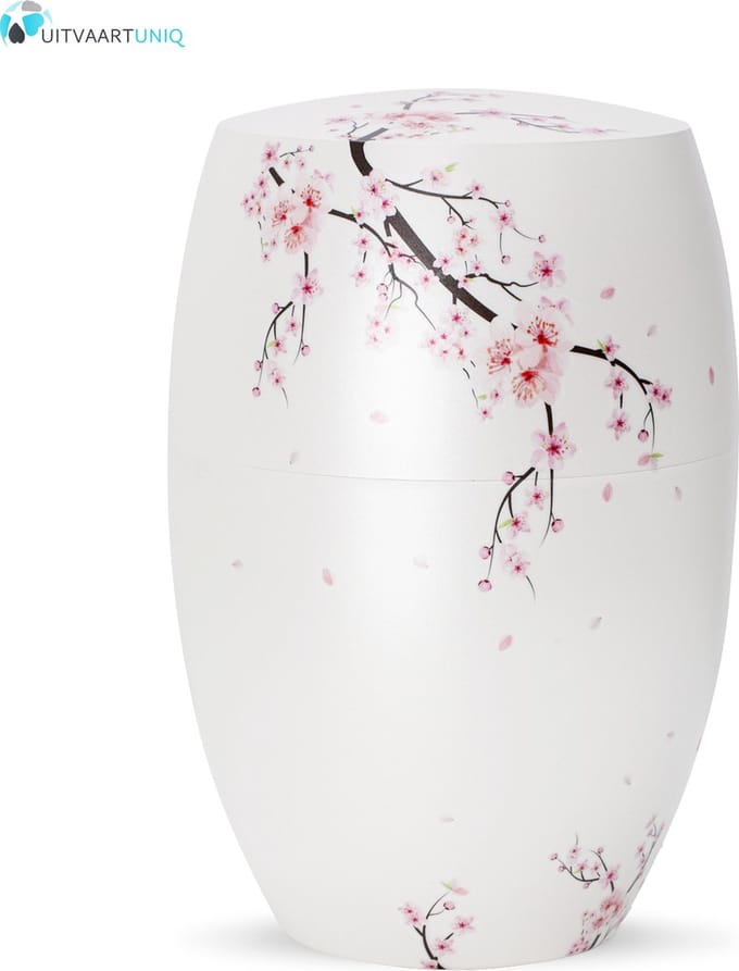 Urn glanzend wit kersenbloesem - bio