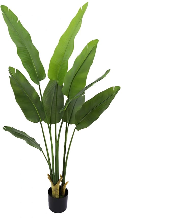 Kunstplant Strelitzia in Pot - 180 cm