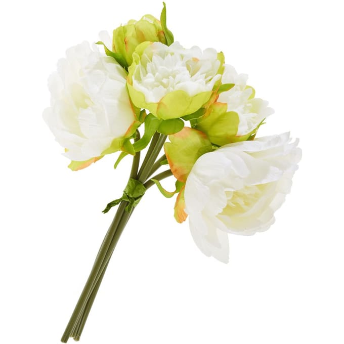 Pioenroos met 5 bloemen - Cream