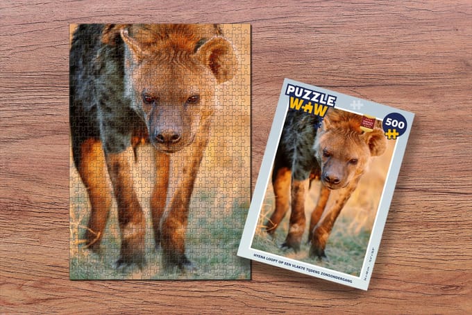 Puzzel Hyena - Gras - Zonsondergang - Legpuzzel - Puzzel 500 stukjes