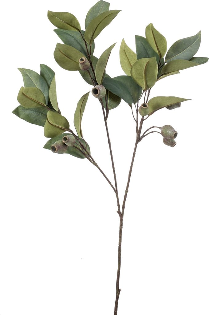 Emerald - Kunsttak Eucalyptus met vruchten 80cm groen - Kunstplant voor binnen