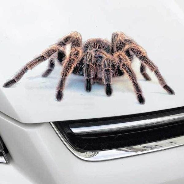 Styling Lovely Cool Spider 3D Autocollants De Voiture Dessin Animé Creative Personnalité Décoration Stickers A noir