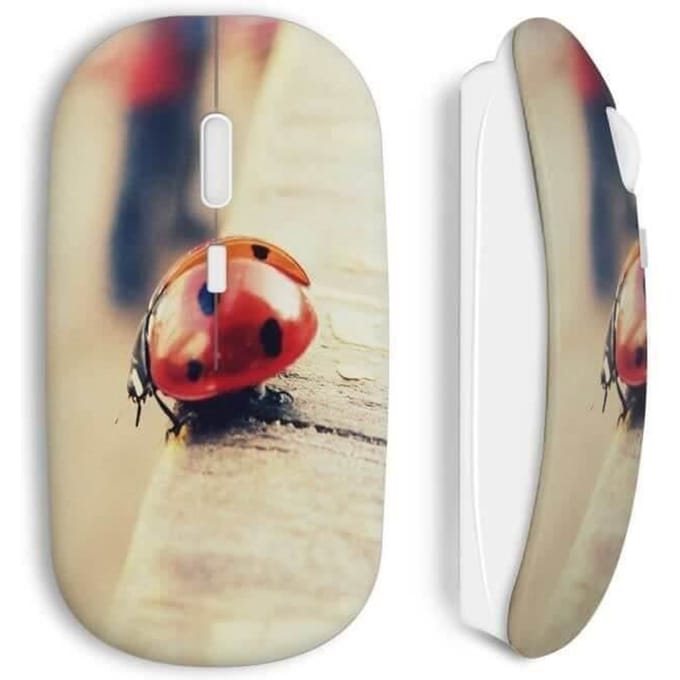 Souris Sans Fil Coccinelle