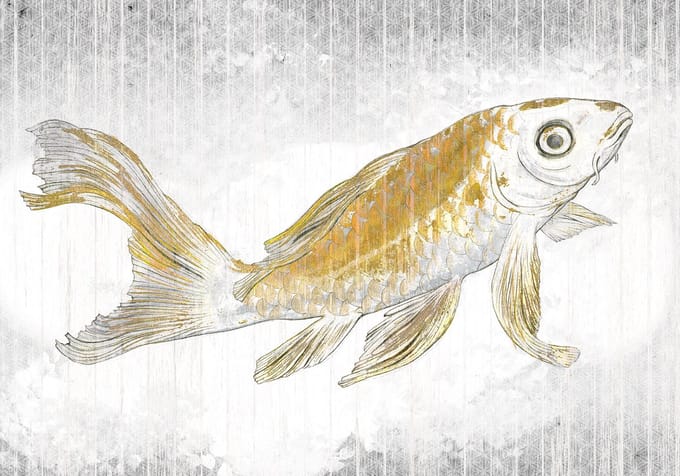 Fotobehang - Golden Koi 400x280cm - Vliesbehang