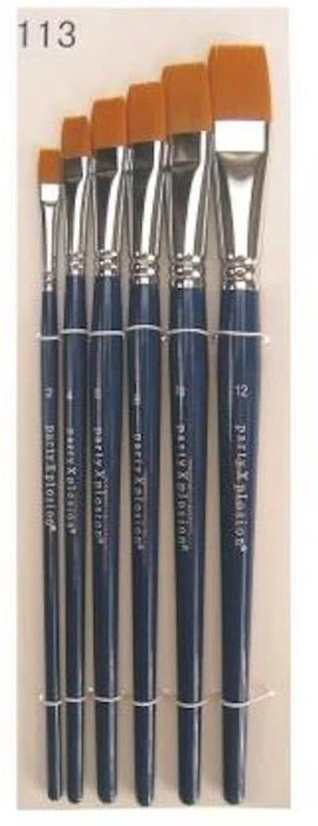 PXP Professional Colours penselenset in etui 6 stuks