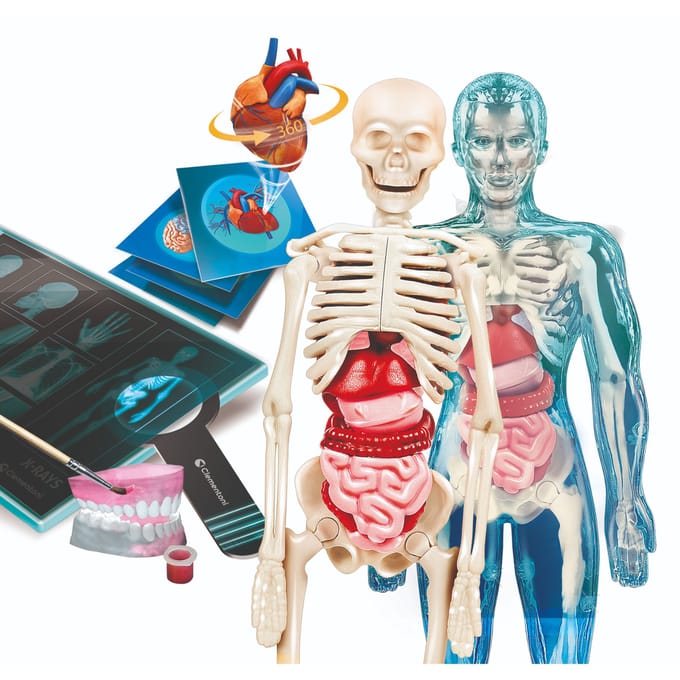 Clementoni Wetenschap & Spel - Super Anatomie - Het Menselijk Lichaam - Educatief Speelgoed - Vanaf 8 jaar